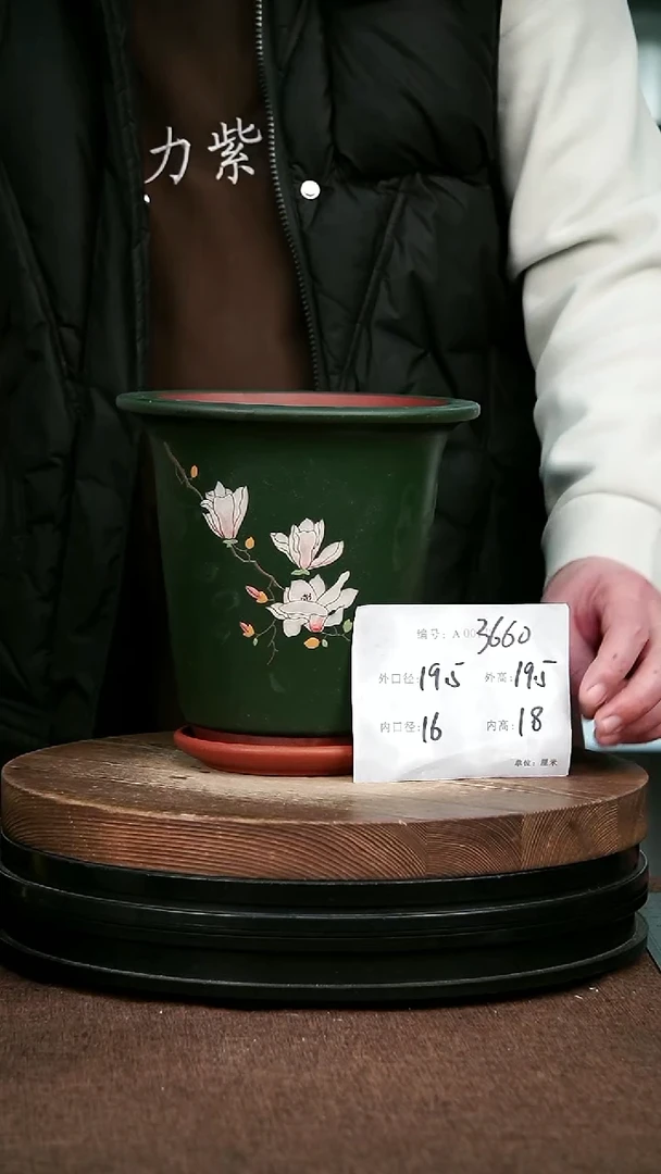 紫砂花盆花卉园艺3660+Z