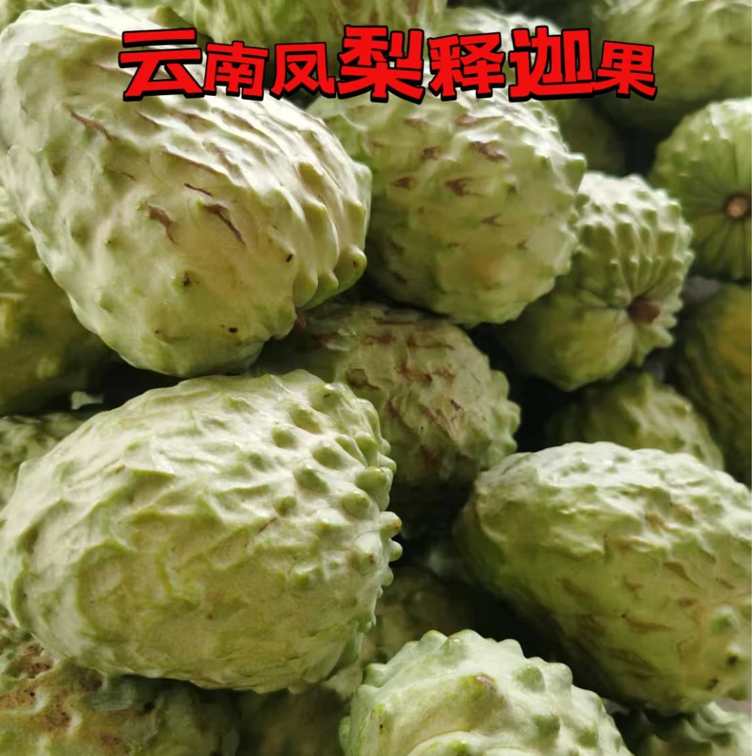 云南高原牛奶凤梨释迦果小花果新鲜采摘口口爆汁应季水果
