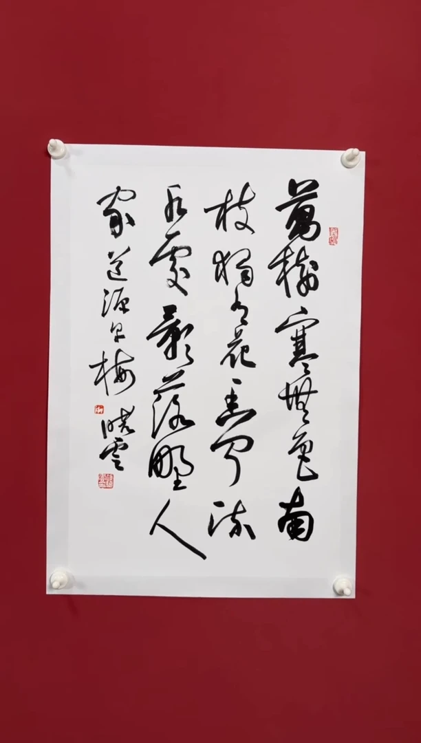 书法早梅书法精品111