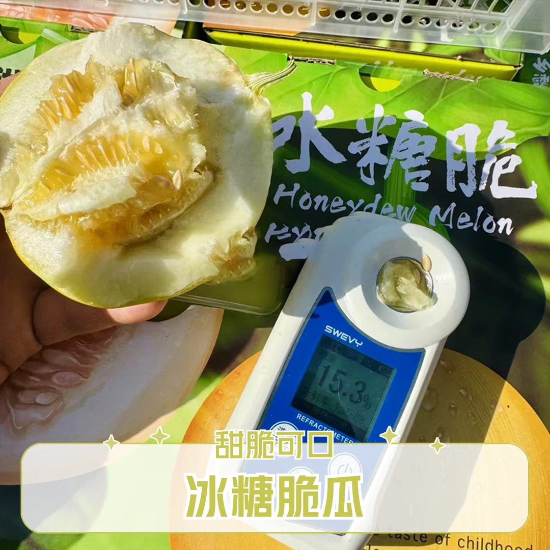 舜鲜生甄选【特级冰糖脆香瓜】嘎嘎脆甜