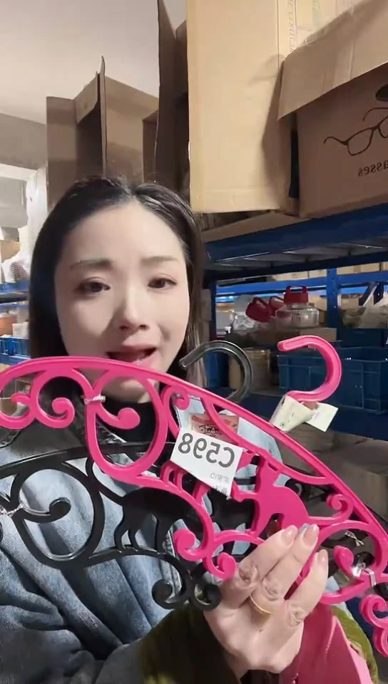 【闪购商品】瓷片进口家用百货衣架两只随机颜色C598