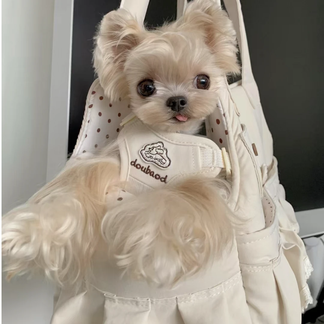 Kiyomi韩系萌宠约克夏西施马尔济斯可爱萌宠伴侣犬女朋友礼物温顺