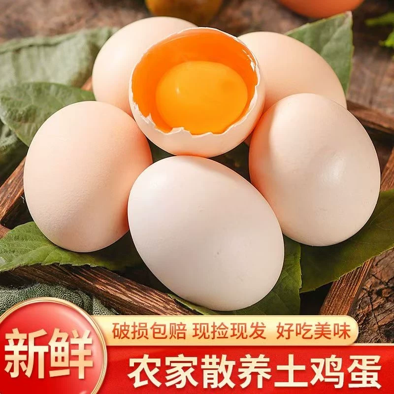农家散养土鸡蛋10枚单枚40克笨鸡蛋天然谷物蛋播补C