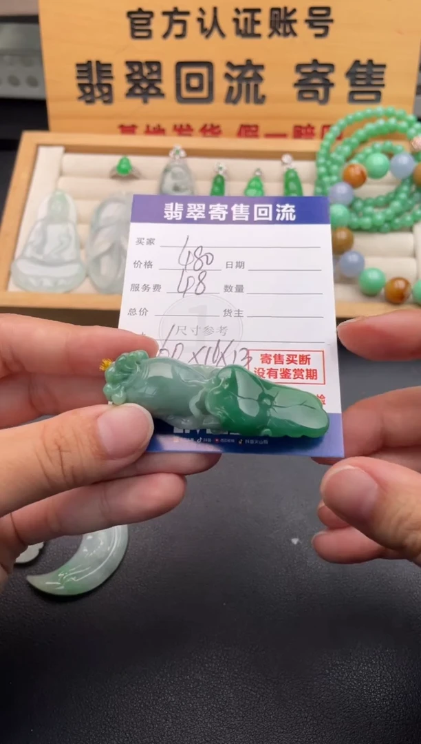 颈饰未镶嵌翡翠10146610