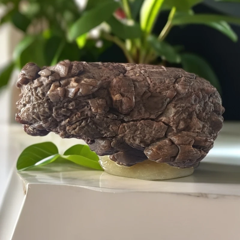 大漠奇石戈壁化石