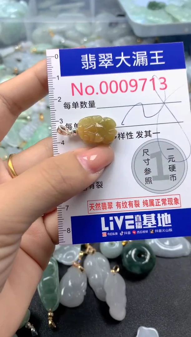 颈饰未镶嵌翡翠9713