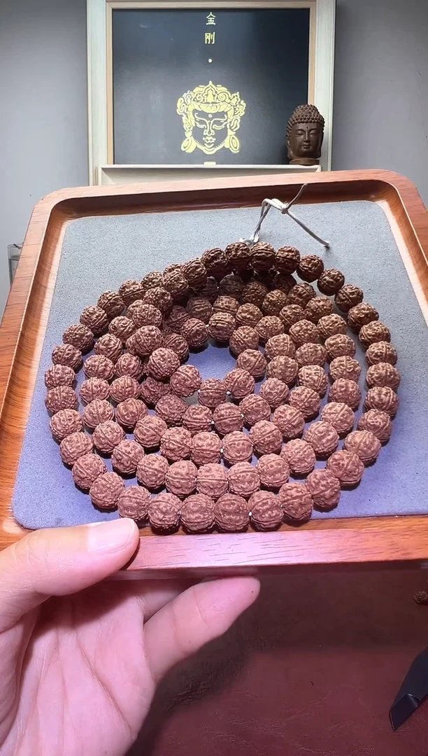 手串金刚菩提老树梅花