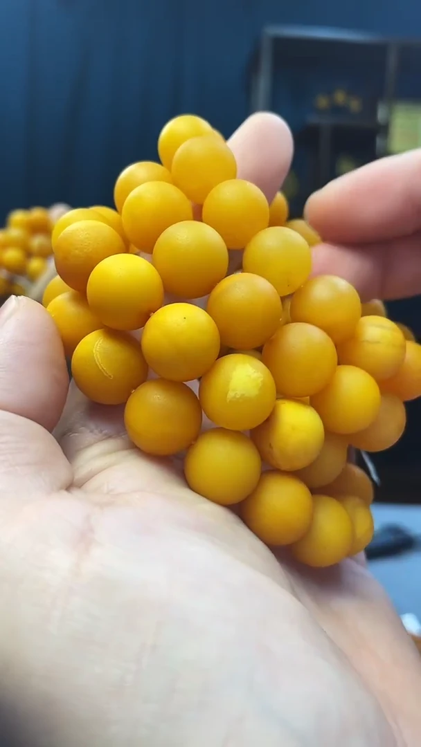 手串琥珀未镶嵌蜜蜡圆珠手串（多样性发其一）
