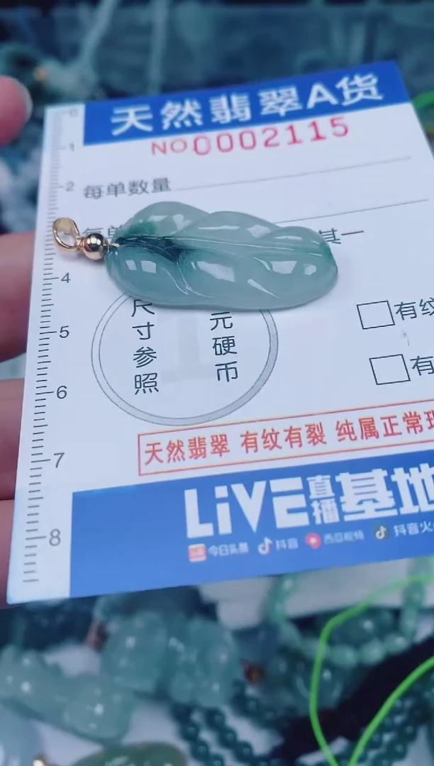 颈饰未镶嵌翡翠00002115