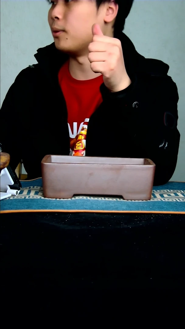 【闪购商品】紫砂花盆21*12*5.5内径紫砂花盆