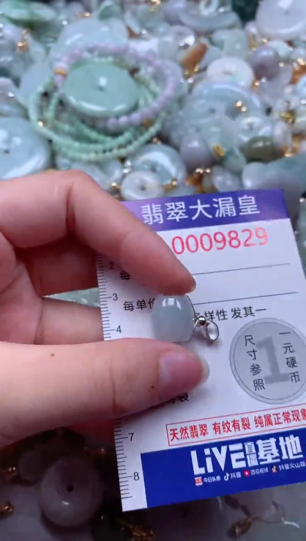 翡翠未镶嵌吊坠(不含链)9829