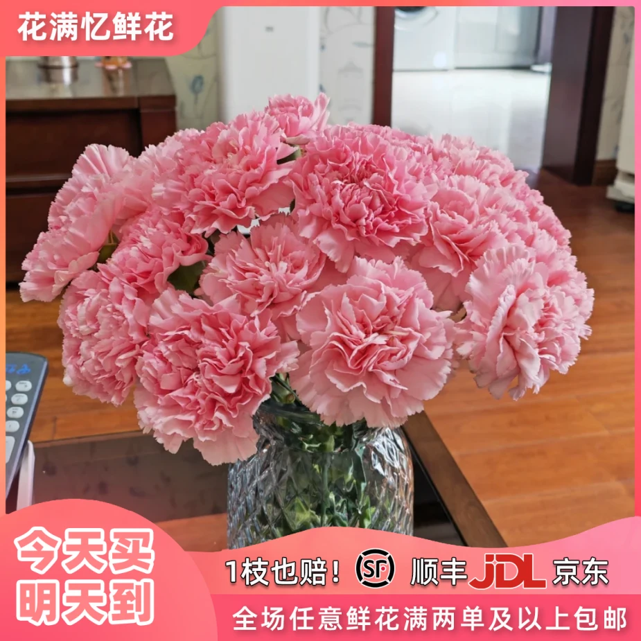 次日达-【粉钻康乃馨】10枝康乃馨鲜花批发任意两单升级顺丰包邮三单送随机花瓶一个今天拍明天到