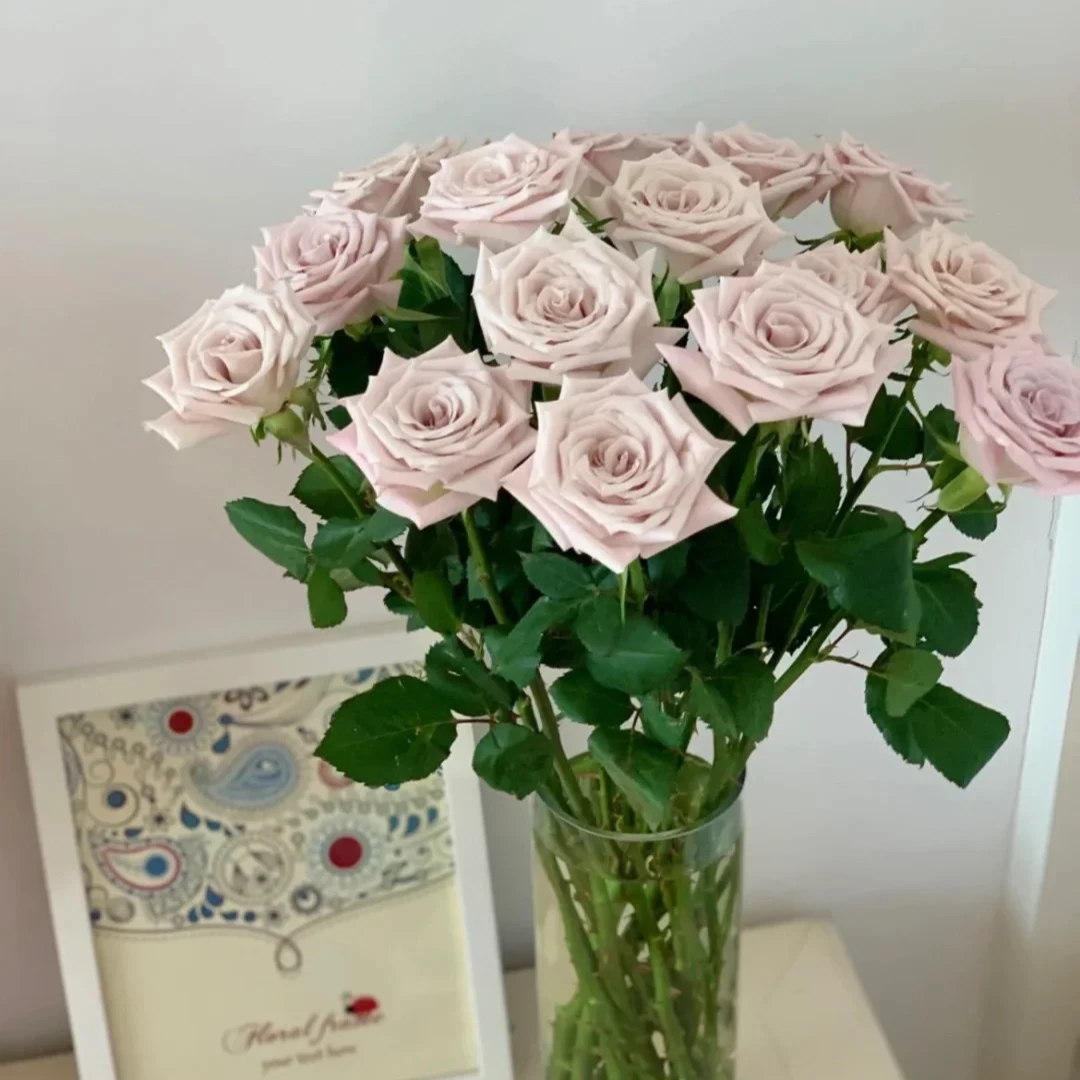 【云裳花园】（花苞小）曼塔玫瑰花云南基地冷链直发--收到货先醒花