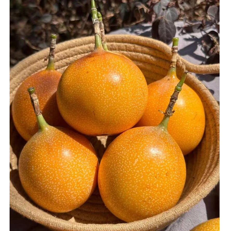 【果园直达】云南特产高山热情果爱情果纯甜无酸高端维c水果