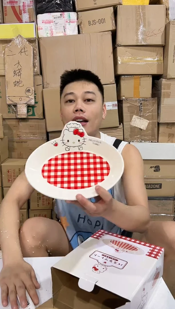 瓷片原盒kt猫红格子餐盘