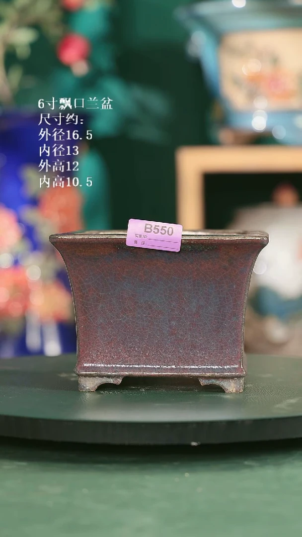 6寸飘口兰盆 550