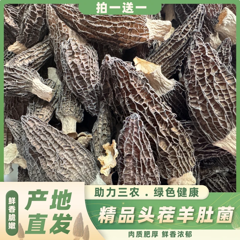 【大个头】6-8厘米头茬精品六妹羊肚菌干货煲汤滋补50g 100g 250g