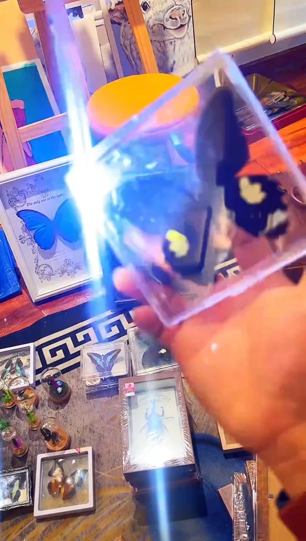 有机玻璃584848848