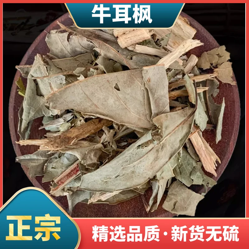 精选牛耳枫正品南岭虎皮楠牛耳铃牛耳公老虎耳新鲜干货散装叶菜