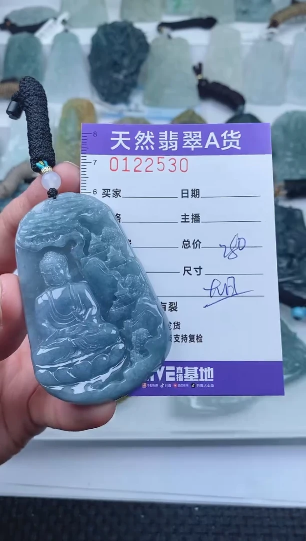 【闪购商品】翡翠颈饰未镶嵌        530