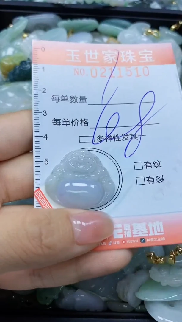 【闪购商品】翡翠颈饰未镶嵌闪购0211510