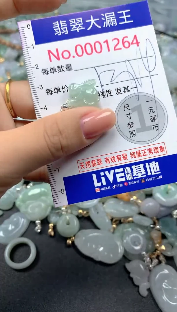 颈饰未镶嵌翡翠1264