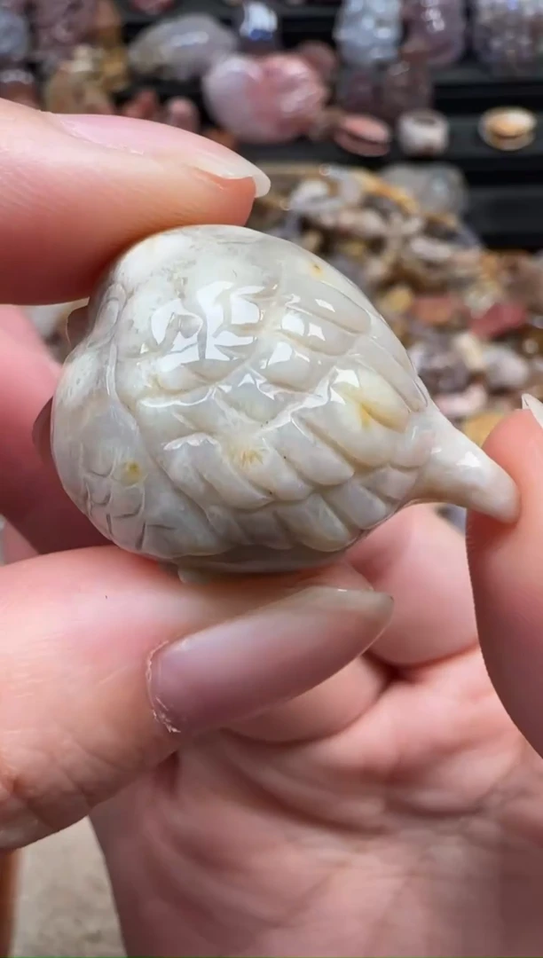 颈饰未镶嵌硅化珊瑚（珊瑚玉）453