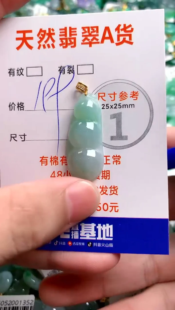 翡翠18K金镶嵌颈饰0884950198