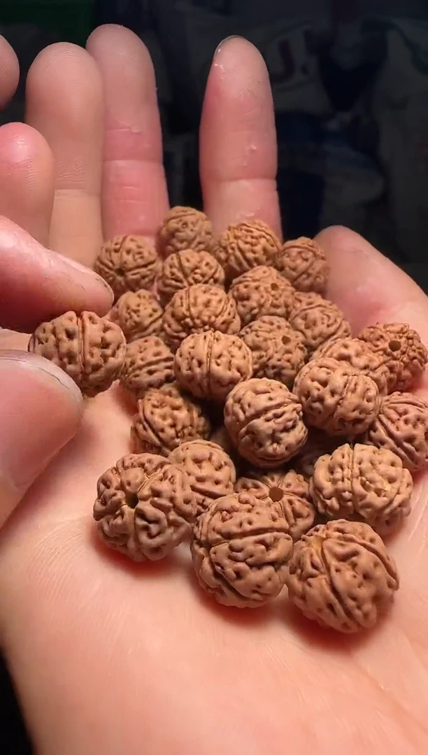 手串金刚菩提非全品老树王散籽12-13mm一份一百颗