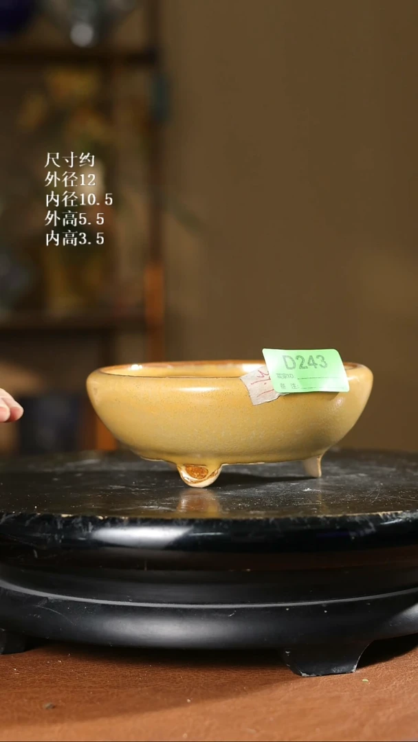 243      5寸罗汉盆