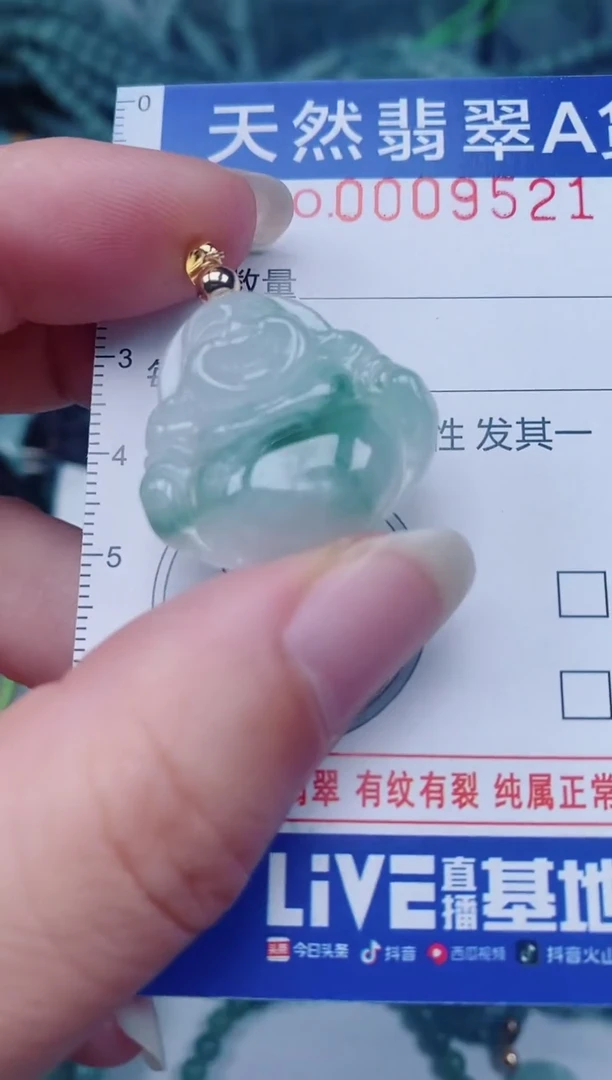 颈饰未镶嵌翡翠00009521
