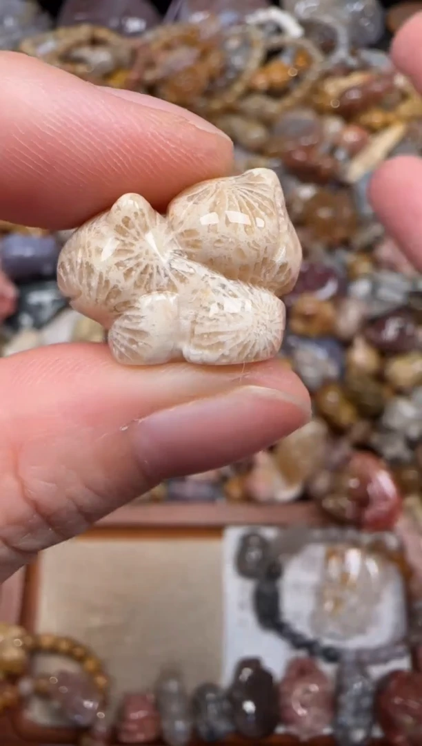 硅化珊瑚（珊瑚玉）未镶嵌颈饰490