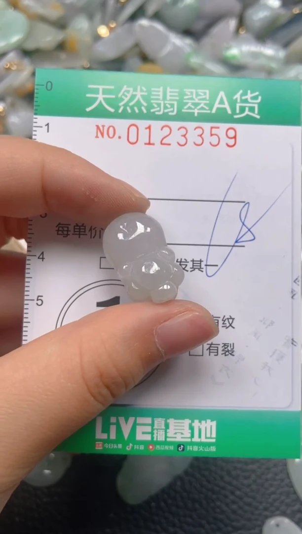 翡翠未镶嵌颈饰闪购0123359