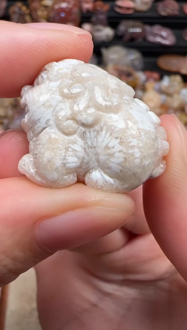 颈饰未镶嵌硅化珊瑚（珊瑚玉）337