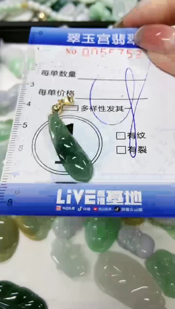 【闪购商品】翡翠颈饰未镶嵌闪购0055752