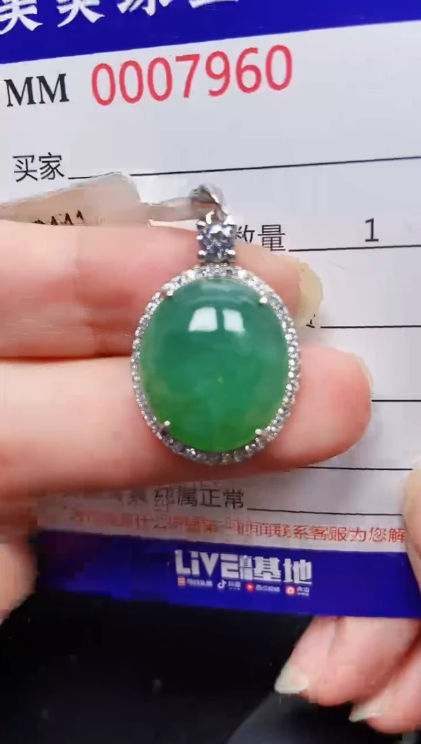 翡翠银S925镶嵌颈饰7960