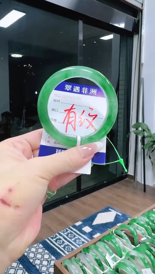 未镶嵌1石英质玉（非洲翠）/6739-58