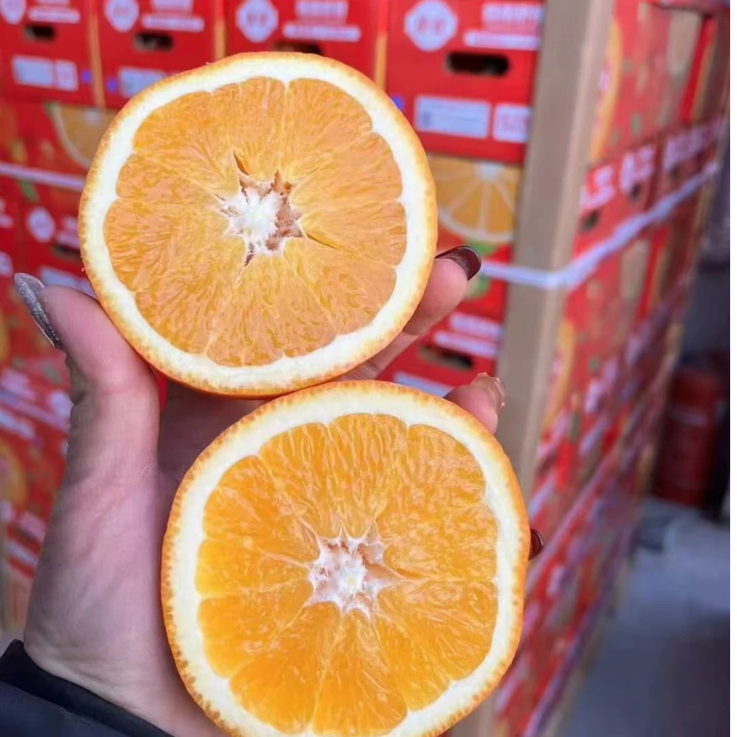 佳农赣南脐橙 礼盒 毛重11斤