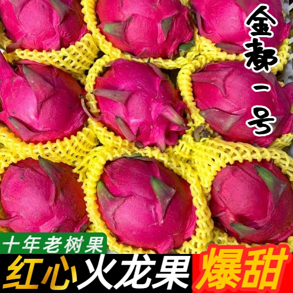 金都一号3/5斤红心火龙果新鲜水果红心红肉整箱热带生鲜时令蜜宝