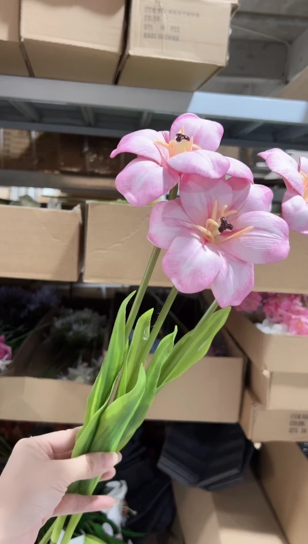 3枝粉色布朗尼郁金香