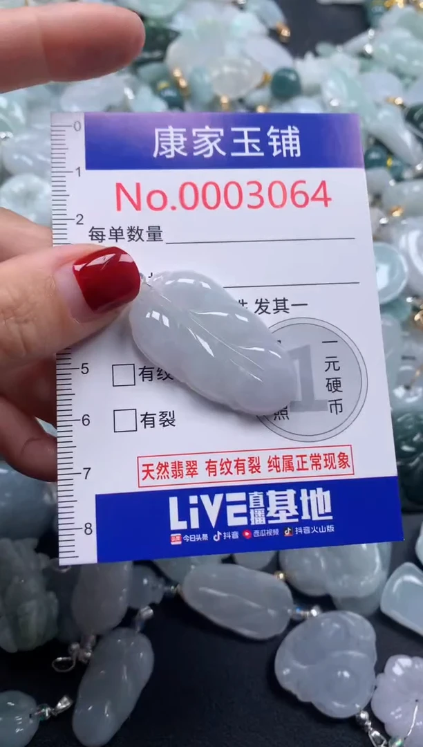 颈饰未镶嵌翡翠3064