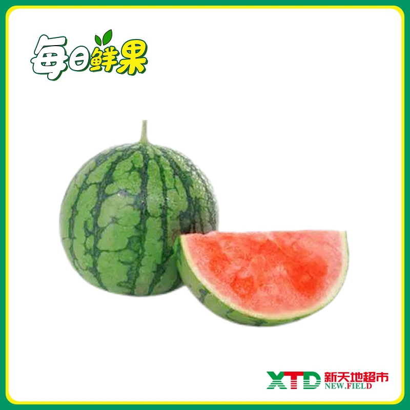 【新鲜水果】甘甜可口的小糖丸西瓜 约2-2.5斤西瓜同城送西瓜同城配