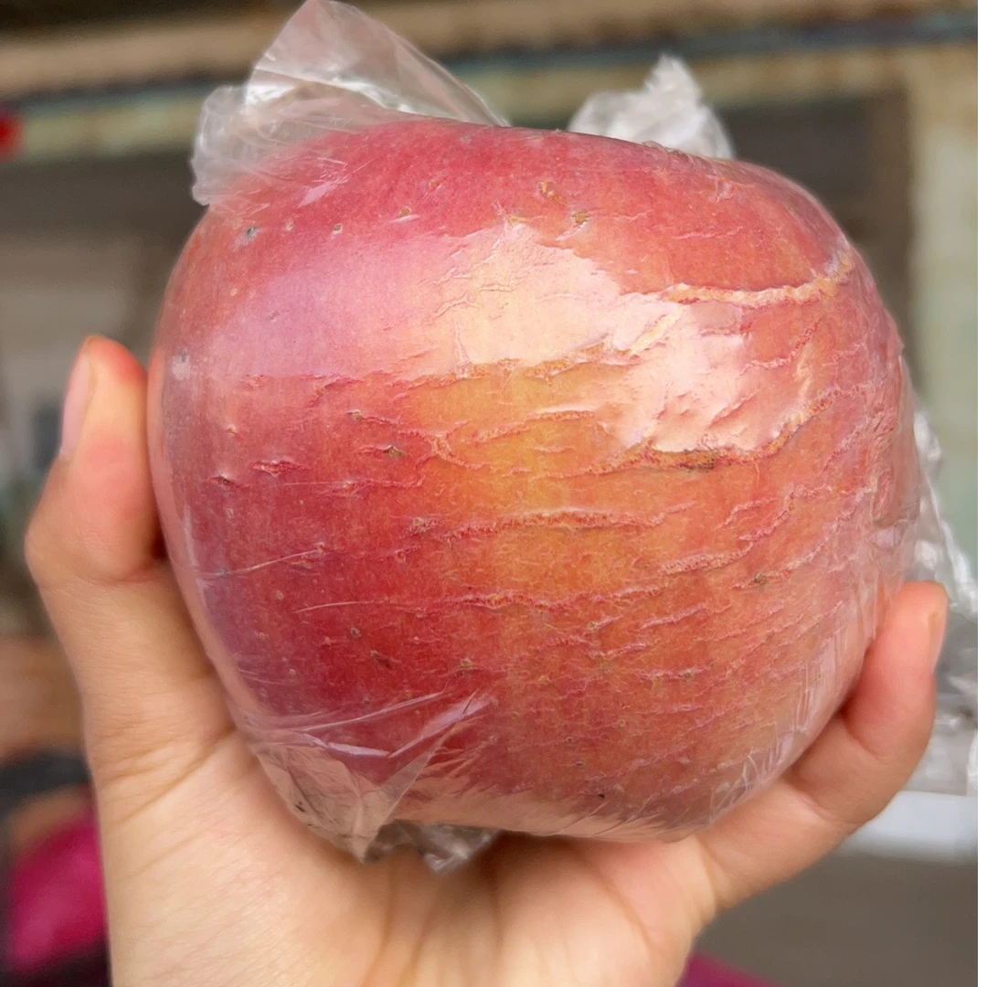 （冰糖心）2025红富士黄土高坡临猗产地直发新鲜脆甜爆汁丑苹果