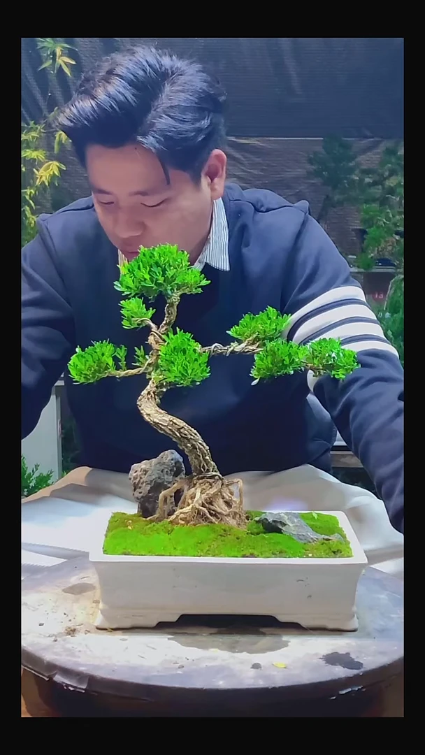 完全开放小*0000000000