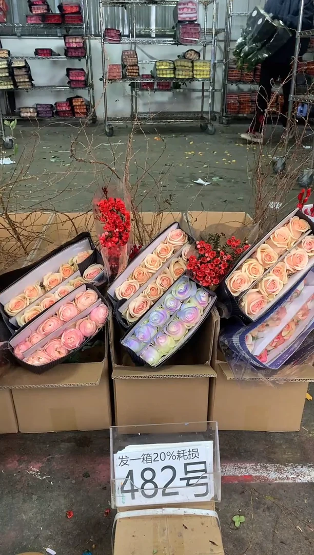 482号♥中通不指定随机颜色含20%耗损发一箱鲜花