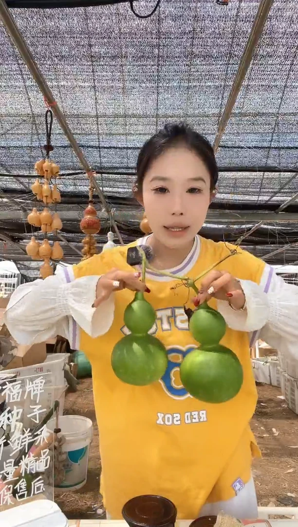 879天然葫芦摆件 一物一拍龙头不保售后微瑕疵