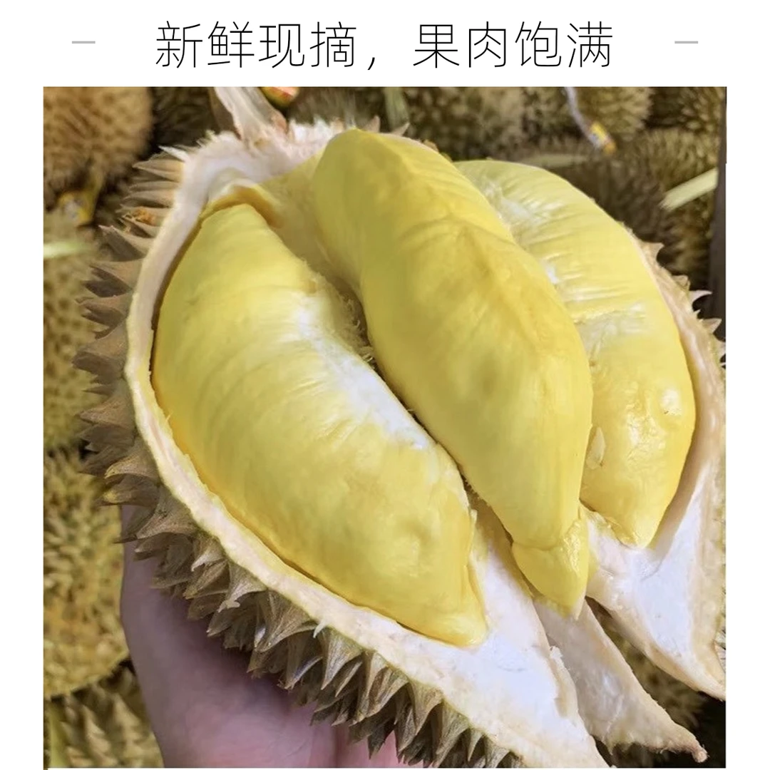 泰国新鲜金枕榴莲精品福利果肉厚核小((该链接不在后售范围，介意勿拍)8g金枕泰国