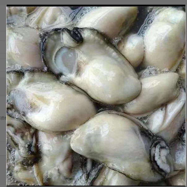 岛里 野生海蛎子肉（非生蚝）3斤