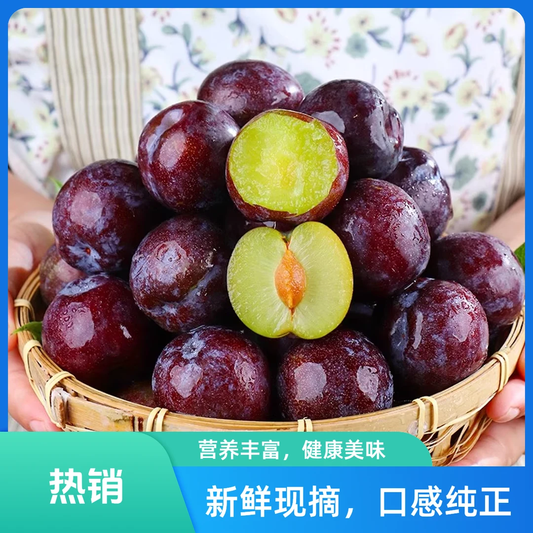 【次日达】正宗四川五月脆凤凰李当季新鲜水果脆甜多汁1斤/2.5斤/5斤装【川渝贵阳次日达 京东包邮】四川省