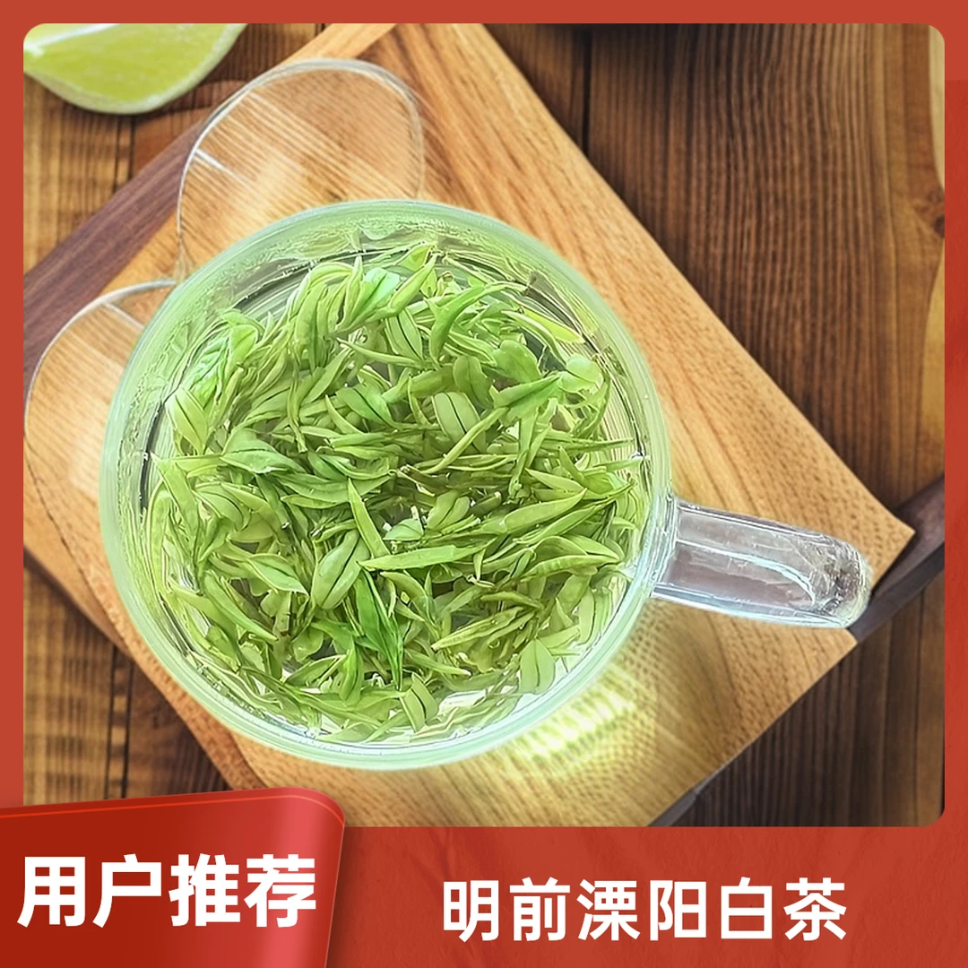明前天目湖白茶25年新茶